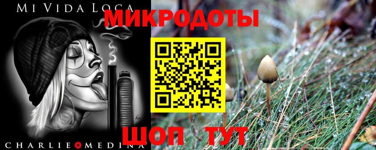 Псилоцибиновые грибы Psilocybe  Вход с VPN  Людиново 
